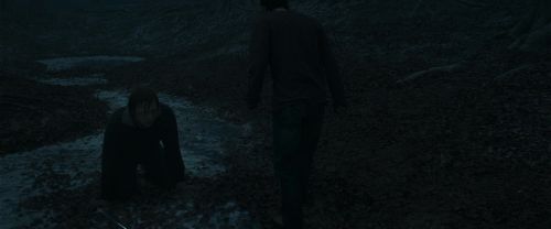 RdM1-Potterish10410.jpg