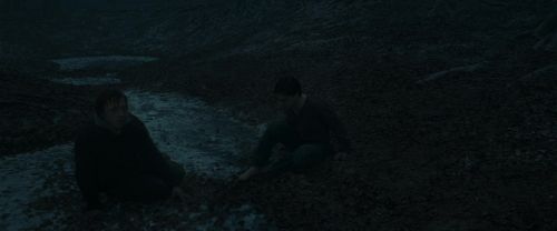 RdM1-Potterish10416.jpg