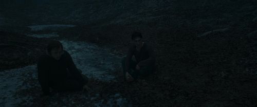 RdM1-Potterish10422.jpg