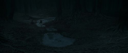 RdM1-Potterish10423.jpg