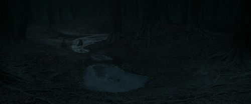 Click to view full size image
==============
RdM1-Potterish10425.jpg RdM1-Potterish10425.jpg