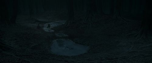 RdM1-Potterish10426.jpg