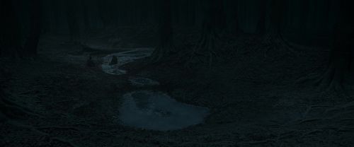 RdM1-Potterish10429.jpg