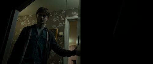 RdM1-Potterish1043.jpg