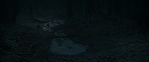 RdM1-Potterish10430.jpg
