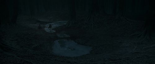 Click to view full size image
==============
RdM1-Potterish10431.jpg RdM1-Potterish10431.jpg