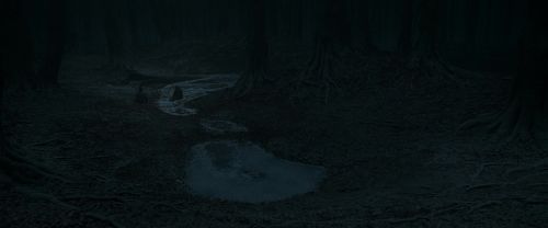 Click to view full size image
==============
RdM1-Potterish10432.jpg RdM1-Potterish10432.jpg