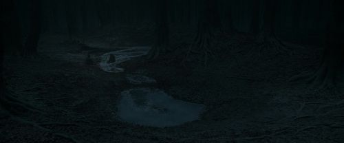 RdM1-Potterish10435.jpg