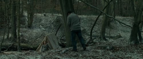 Click to view full size image
==============
RdM1-Potterish10455.jpg RdM1-Potterish10455.jpg