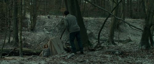 Click to view full size image
==============
RdM1-Potterish10460.jpg RdM1-Potterish10460.jpg