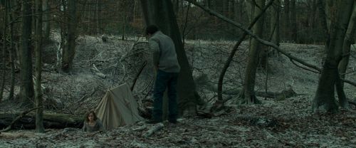 Click to view full size image
==============
RdM1-Potterish10463.jpg RdM1-Potterish10463.jpg