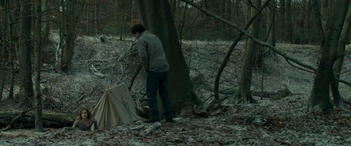 Click to view full size image
==============
RdM1-Potterish10464.jpg RdM1-Potterish10464.jpg