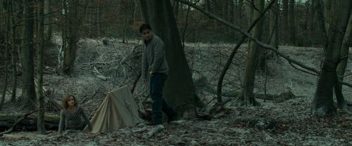 Click to view full size image
==============
RdM1-Potterish10465.jpg RdM1-Potterish10465.jpg