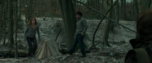 Click to view full size image
==============
RdM1-Potterish10469.jpg RdM1-Potterish10469.jpg