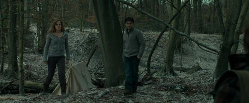 Click to view full size image
==============
RdM1-Potterish10470.jpg RdM1-Potterish10470.jpg