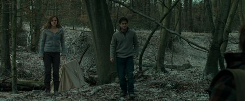 Click to view full size image
==============
RdM1-Potterish10471.jpg RdM1-Potterish10471.jpg