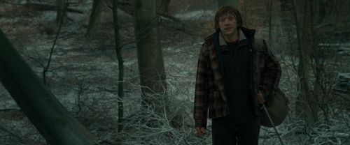 Click to view full size image
==============
RdM1-Potterish10473.jpg RdM1-Potterish10473.jpg