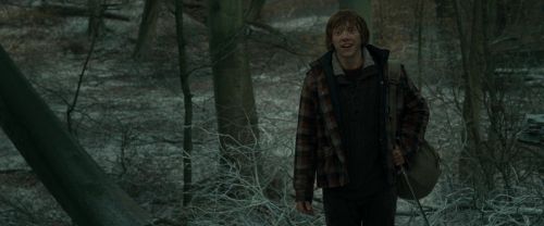 Click to view full size image
==============
RdM1-Potterish10475.jpg RdM1-Potterish10475.jpg