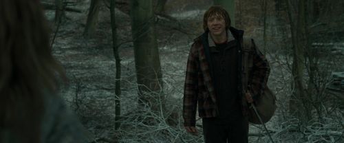 RdM1-Potterish10479.jpg