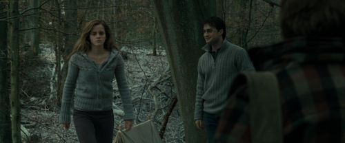 RdM1-Potterish10482.jpg