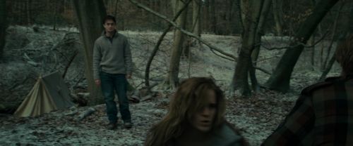RdM1-Potterish10487.jpg