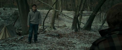 Click to view full size image
==============
RdM1-Potterish10491.jpg RdM1-Potterish10491.jpg