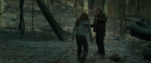 Click to view full size image
==============
RdM1-Potterish10493.jpg RdM1-Potterish10493.jpg