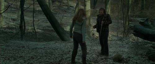 Click to view full size image
==============
RdM1-Potterish10494.jpg RdM1-Potterish10494.jpg