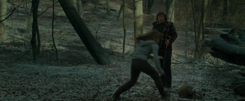 Click to view full size image
==============
RdM1-Potterish10495.jpg RdM1-Potterish10495.jpg