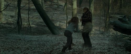 RdM1-Potterish10498.jpg