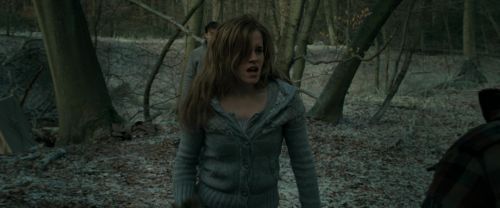 RdM1-Potterish10500.jpg