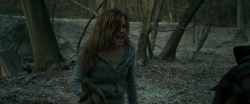 RdM1-Potterish10501.jpg