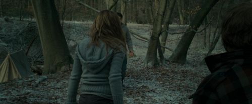 RdM1-Potterish10508.jpg