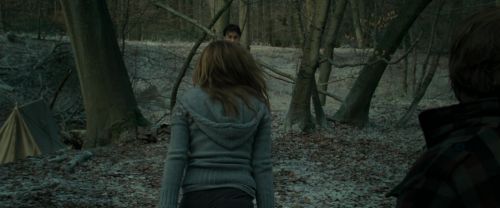 RdM1-Potterish10509.jpg