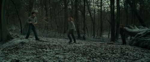 RdM1-Potterish10511.jpg
