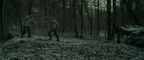 Click to view full size image
==============
RdM1-Potterish10512.jpg RdM1-Potterish10512.jpg