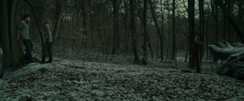 Click to view full size image
==============
RdM1-Potterish10515.jpg RdM1-Potterish10515.jpg
