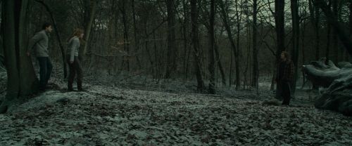RdM1-Potterish10518.jpg
