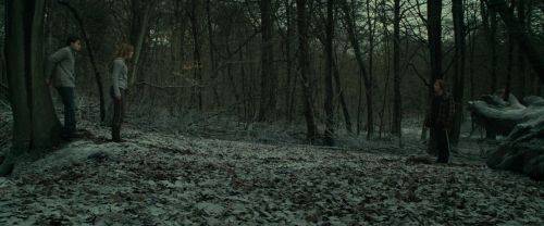Click to view full size image
==============
RdM1-Potterish10520.jpg RdM1-Potterish10520.jpg