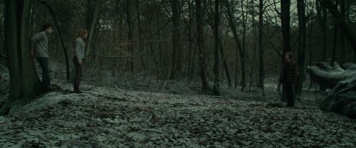 Click to view full size image
==============
RdM1-Potterish10521.jpg RdM1-Potterish10521.jpg