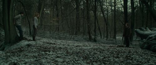 Click to view full size image
==============
RdM1-Potterish10522.jpg RdM1-Potterish10522.jpg