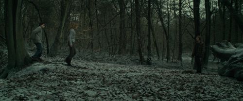 Click to view full size image
==============
RdM1-Potterish10524.jpg RdM1-Potterish10524.jpg