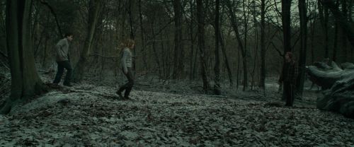 Click to view full size image
==============
RdM1-Potterish10525.jpg RdM1-Potterish10525.jpg