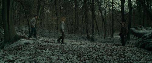 Click to view full size image
==============
RdM1-Potterish10526.jpg RdM1-Potterish10526.jpg