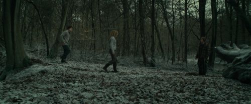 RdM1-Potterish10527.jpg