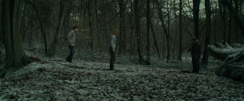 Click to view full size image
==============
RdM1-Potterish10528.jpg RdM1-Potterish10528.jpg