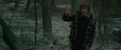 RdM1-Potterish10530.jpg