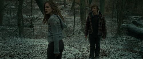 RdM1-Potterish10540.jpg