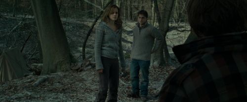 RdM1-Potterish10551.jpg