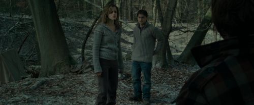 RdM1-Potterish10554.jpg